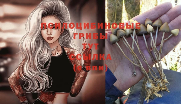 спайс Костерёво