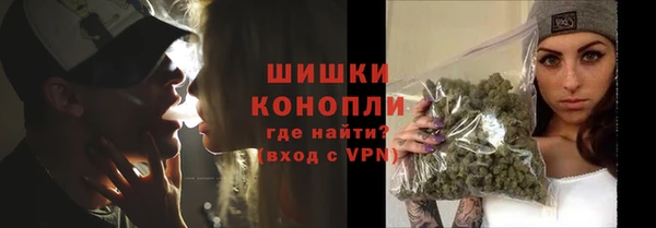 ГАЛЛЮЦИНОГЕННЫЕ ГРИБЫ Козловка