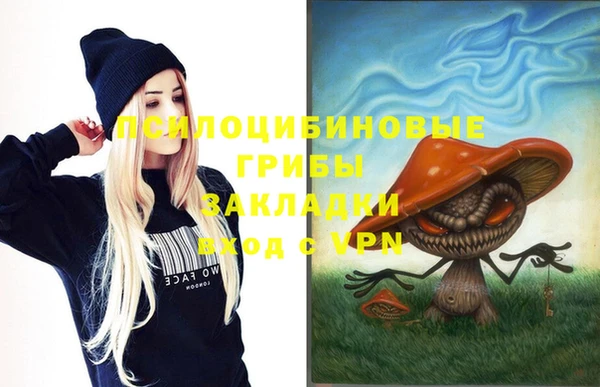 спайс Богданович